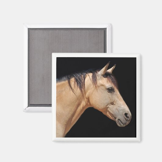 馬頭磁石 マグネット (正面/裏面)