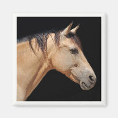 馬頭磁石 マグネット (正面)