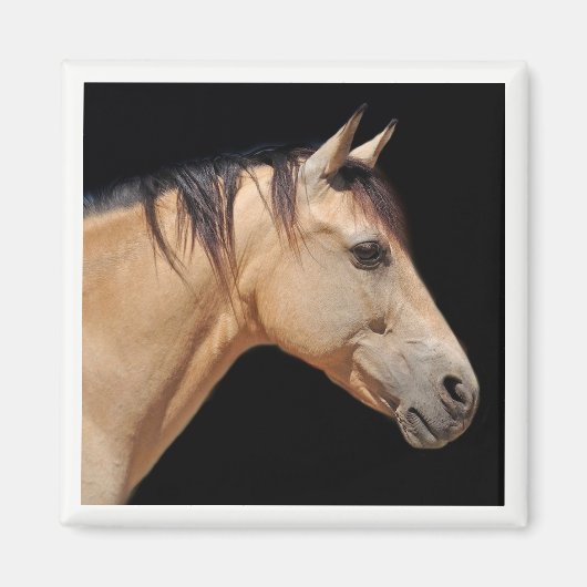 馬頭磁石 マグネット (正面)