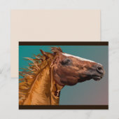 馬頭葉書 ポストカード (正面/裏面)