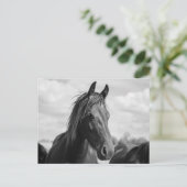 馬頭葉書 ポストカード (スタンド正面)