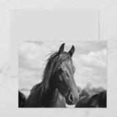 馬頭葉書 ポストカード (正面/裏面)