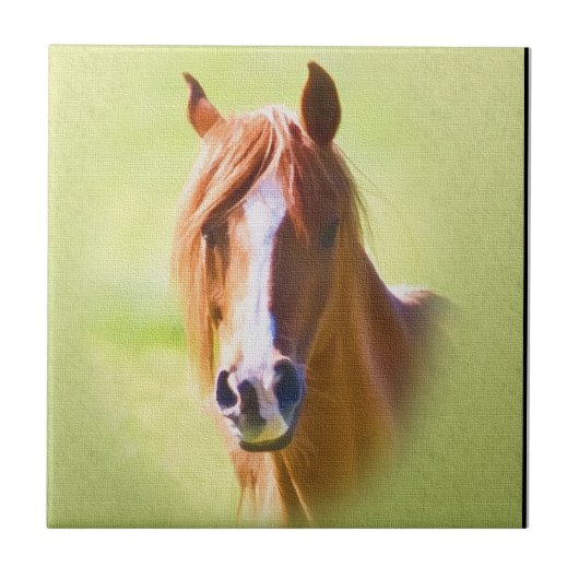 馬頭部のタイル タイル (正面)