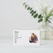 馬頭部の名刺 名刺 (スタンド正面)