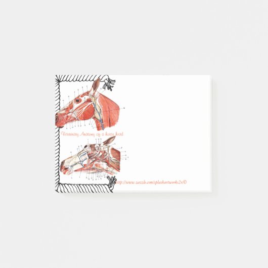 "馬頭部の獣医の解剖学" ポストイット (正面)
