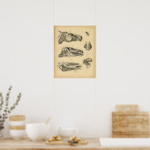 馬頭顎解剖学1908ヴィンテージプリント ポスター (キッチン)