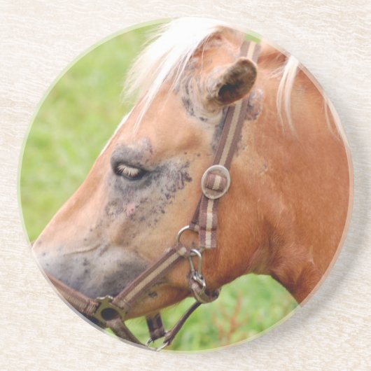 馬頭003 コースター (正面)