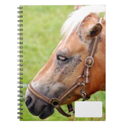 馬頭003 ノートブック (正面)