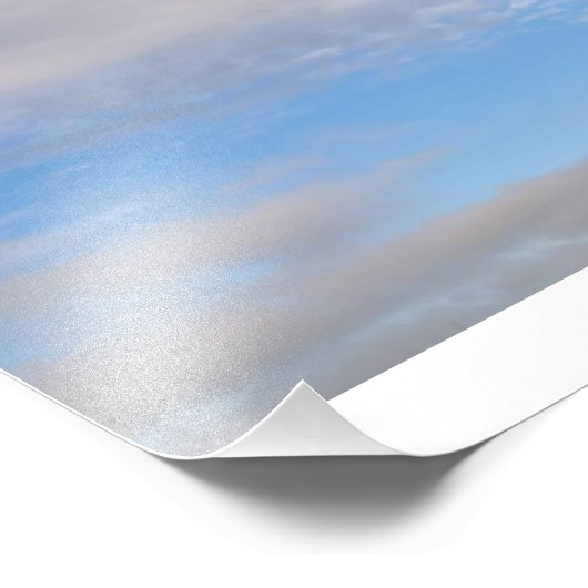 馬頭 フォトプリント            (角)