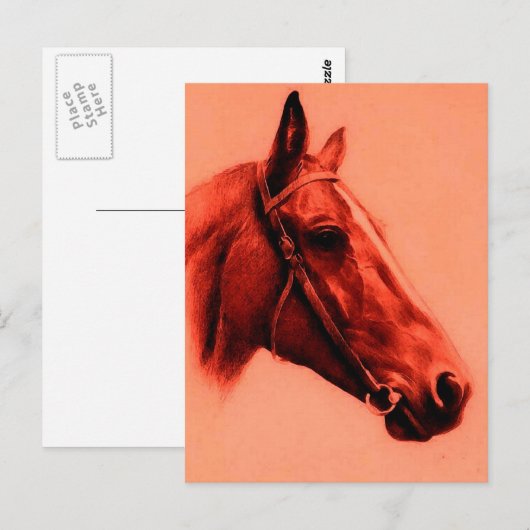 馬頭 ポストカード (正面/裏面)