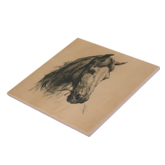 馬頭（Heywood Hardy著） タイル (側面)