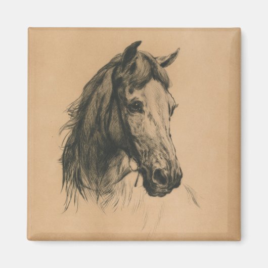 馬頭（Heywood Hardy著） マグネット (正面)