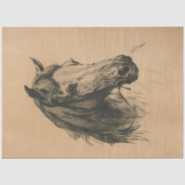 馬頭（Heywood Hardy著） 薄葉紙