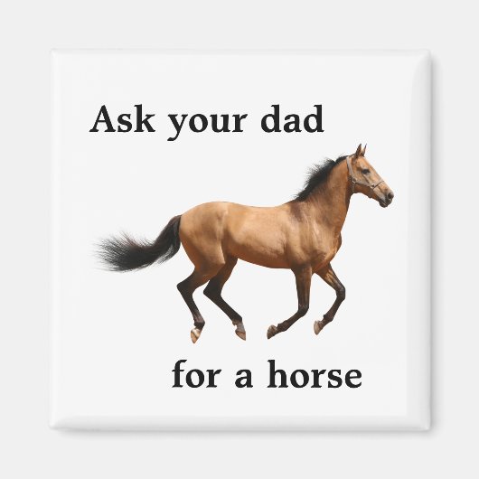 馬頼磁石のパパ マグネット (正面)