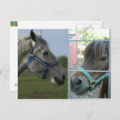 馬食い ポストカード (正面/裏面)