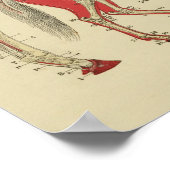 馬骨格解剖学プリント1902 ポスター (角)