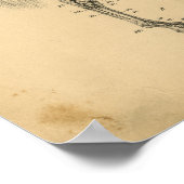 馬骨格解剖学1908ヴィンテージプリント ポスター (角)