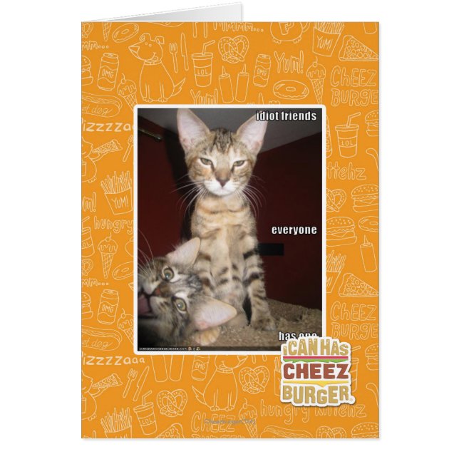 馬鹿の友人 (正面)