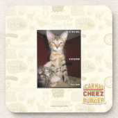 馬鹿の友人 コースター (正面)