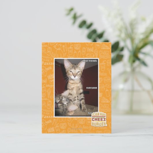 馬鹿の友人 ポストカード (スタンド正面)