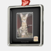 馬鹿の友人 メタルオーナメント (左)