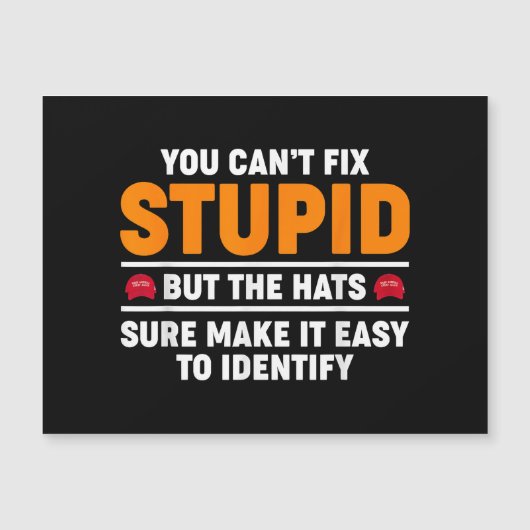 馬鹿は直せないが帽子は確かに楽だ (正面)