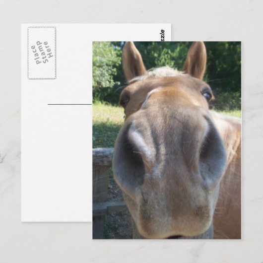 馬鼻 ポストカード (正面/裏面)