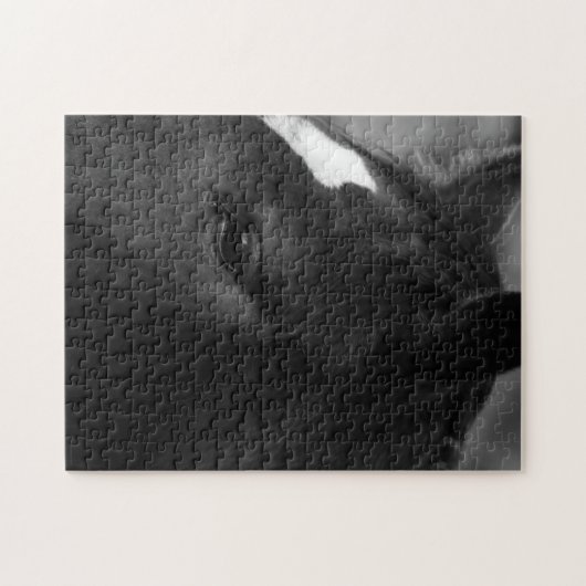 馬11x14 252pc jpcna ジグソーパズル (横)