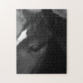 馬11x14 252pc jpcna ジグソーパズル (縦)