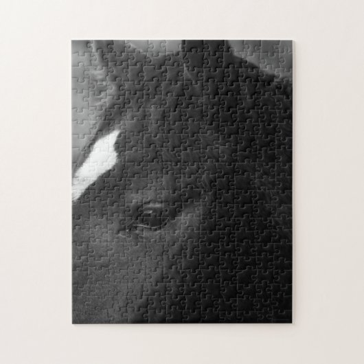 馬11x14 252pc jpcna ジグソーパズル (縦)