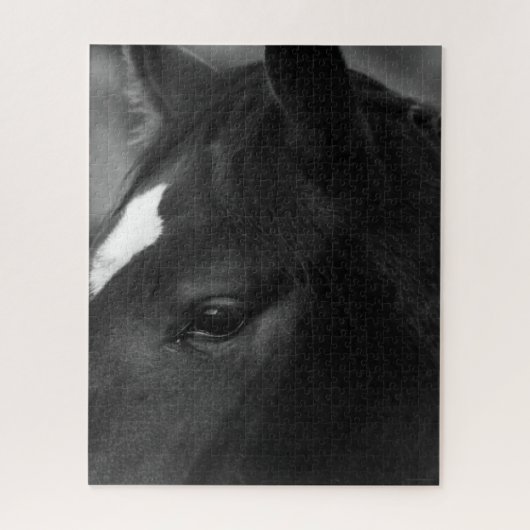 馬16x20 520pc jpcna ジグソーパズル (縦)