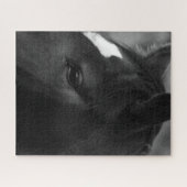 馬16x20 520pc jpcna ジグソーパズル (横)