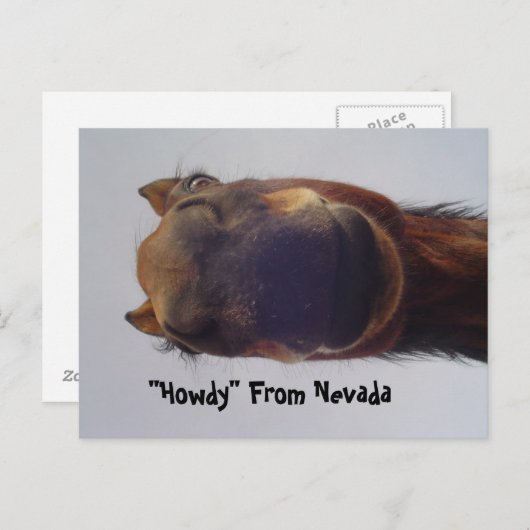 馬1 ポストカード (正面/裏面)