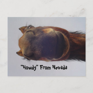 馬1 ポストカード