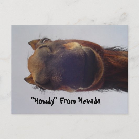 馬1 ポストカード (正面)