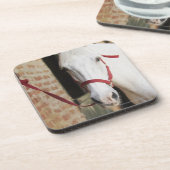 馬2のクローズアップ コースター (左側)