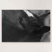 馬20x30 1014pc jpcna ジグソーパズル (横)