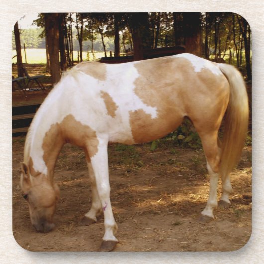 馬3 コースター (正面)