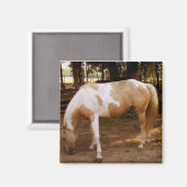 馬3、磁石 マグネット (正面/裏面)