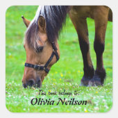 馬「この本は…」 ステッカー (正面)