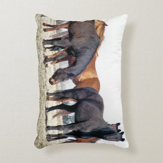 馬 アクセントクッション (正面(垂直))