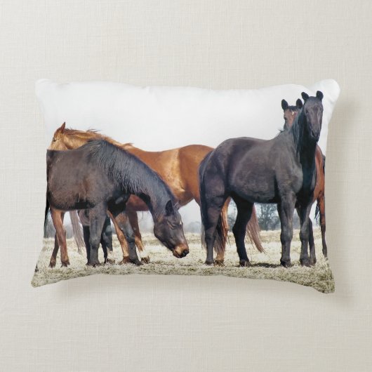 馬 アクセントクッション (裏面)