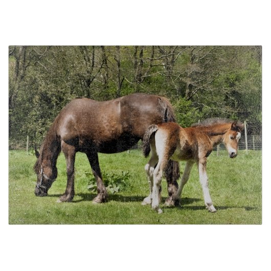 馬 カッティングボード (正面)