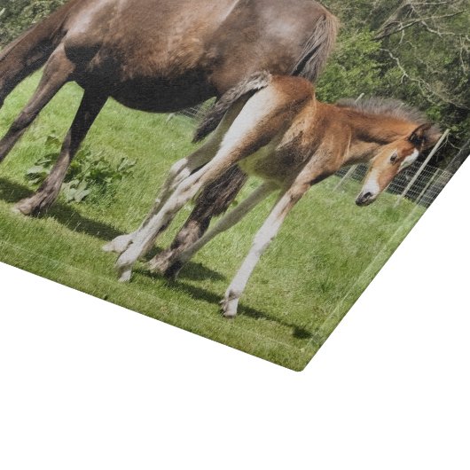 馬 カッティングボード (角)