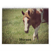 馬 カレンダー (カバー)