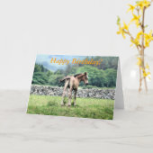 馬 カード (黄色い花)