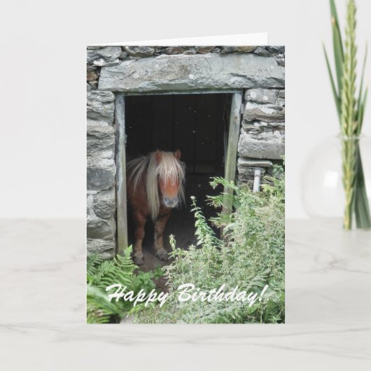 馬 カード (正面)