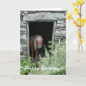 馬 カード (黄色い花)