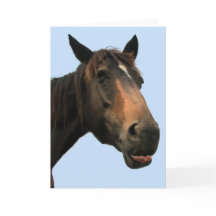 馬