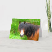 馬 カード (正面)